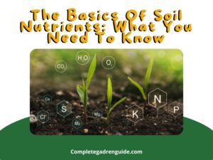 Basics Of Soil Nutrients