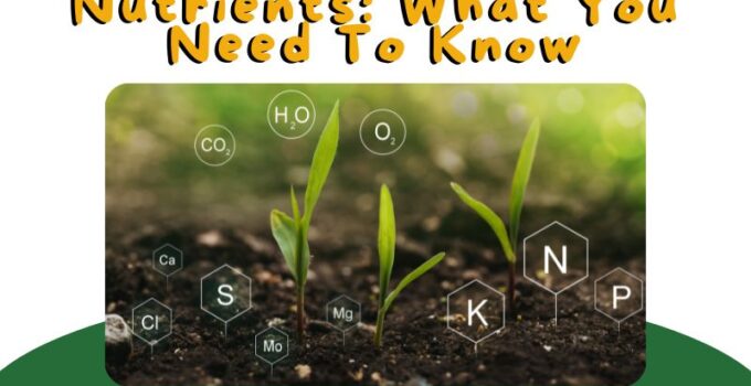 Basics Of Soil Nutrients
