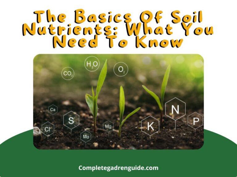 Mastering The Basics Of Soil Nutrients: Soil Nutrition 101