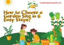 Choose a Garden Site