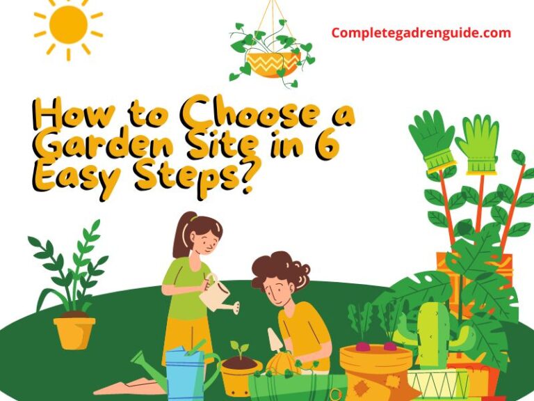How to Choose a Garden Site in 6 Easy Steps?