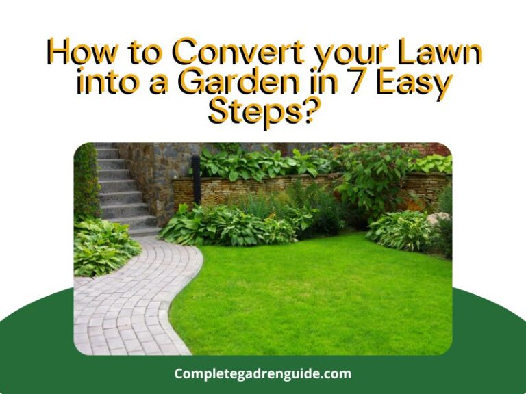 How to Convert your Lawn into a Garden in 7 Easy Steps?