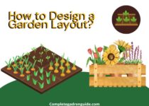 Design a Garden Layout