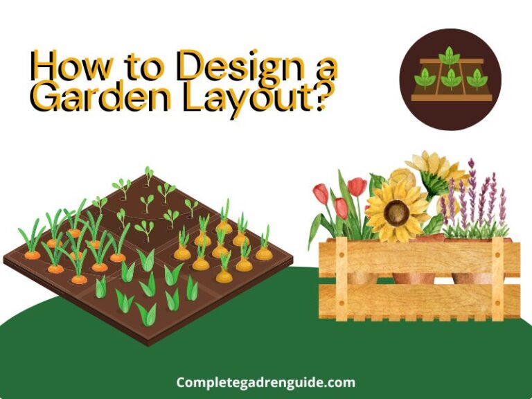 How to Design a Garden Layout? 3 Layouts Explained