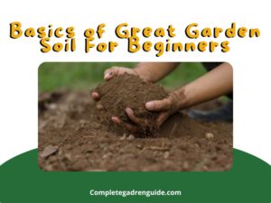 Garden Soil For Beginners