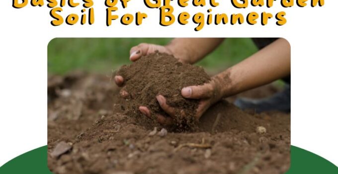 Garden Soil For Beginners