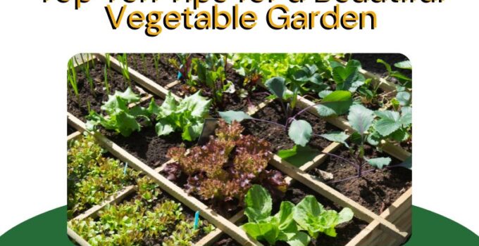 Tips for a Beautiful Vegetable Garden
