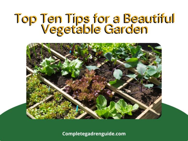 Top 10 Tips for a Beautiful Vegetable Garden