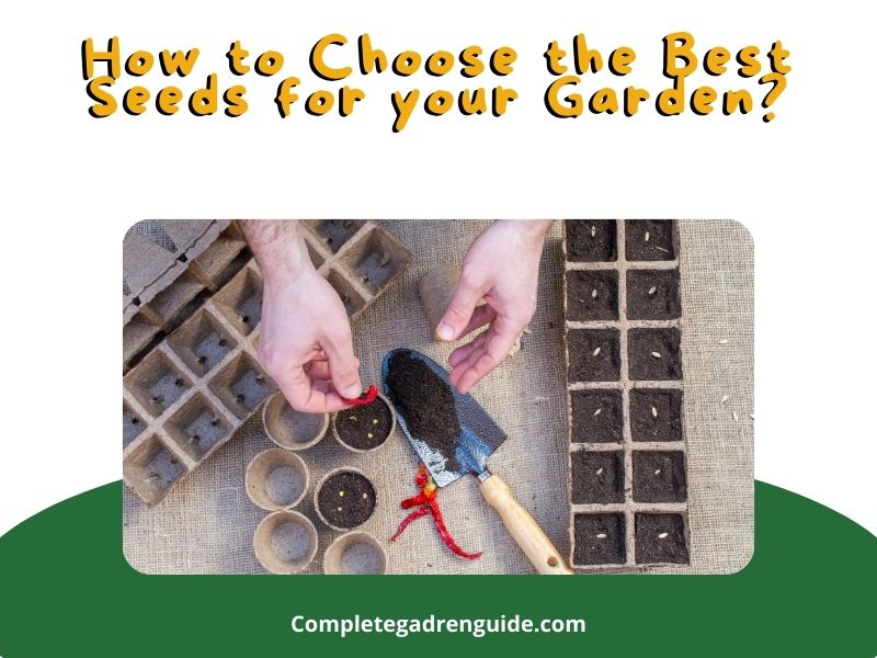 Choose the Best Seeds for your Garden