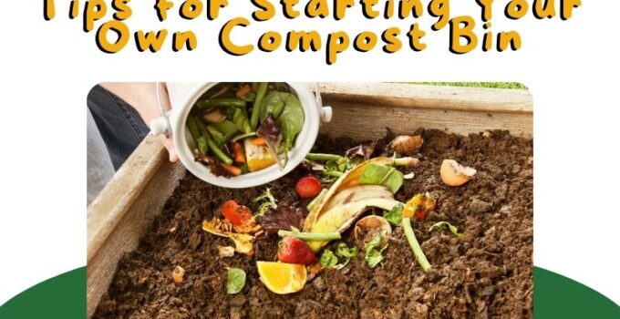 Composting Basics 101