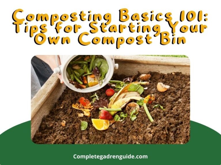 Composting Basics 101: Tips for Starting Your Own Compost Bin