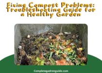 Fixing Compost Problems & Troubleshooting