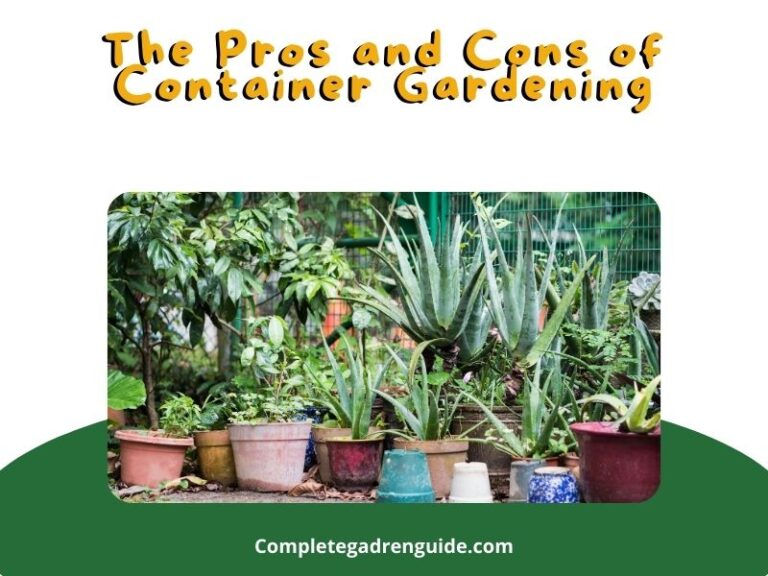 The Pros and Cons of Container Gardening: Maximizing Your Space