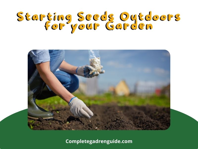 Starting Seeds Outdoors for your Garden