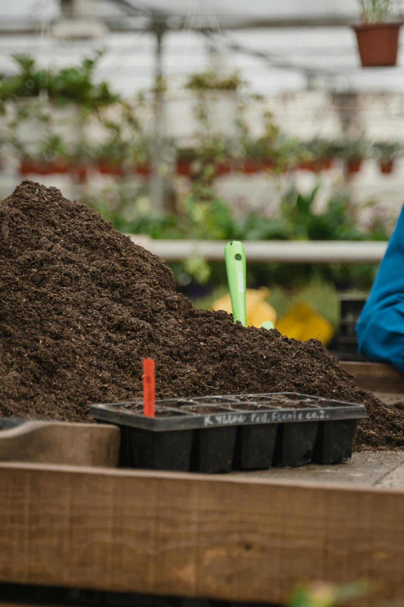 Loose soil and a seedling tray in a greenhouse